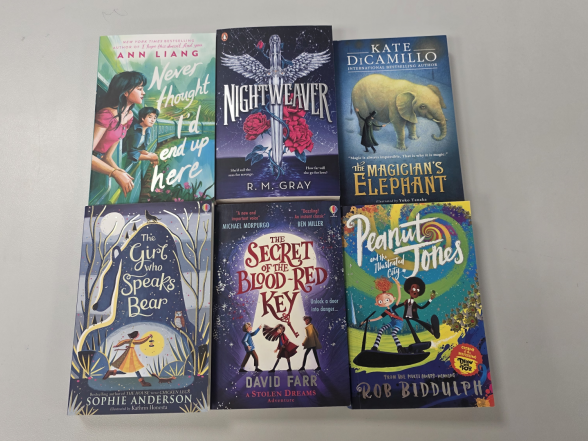 B Jaunas grāmatas skolas bibliotēkā 12-2025