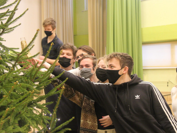 12.klase pušķo egles