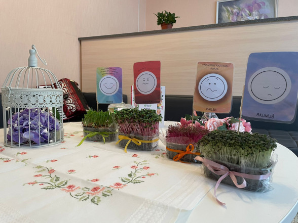 Mentālā dārzniecība