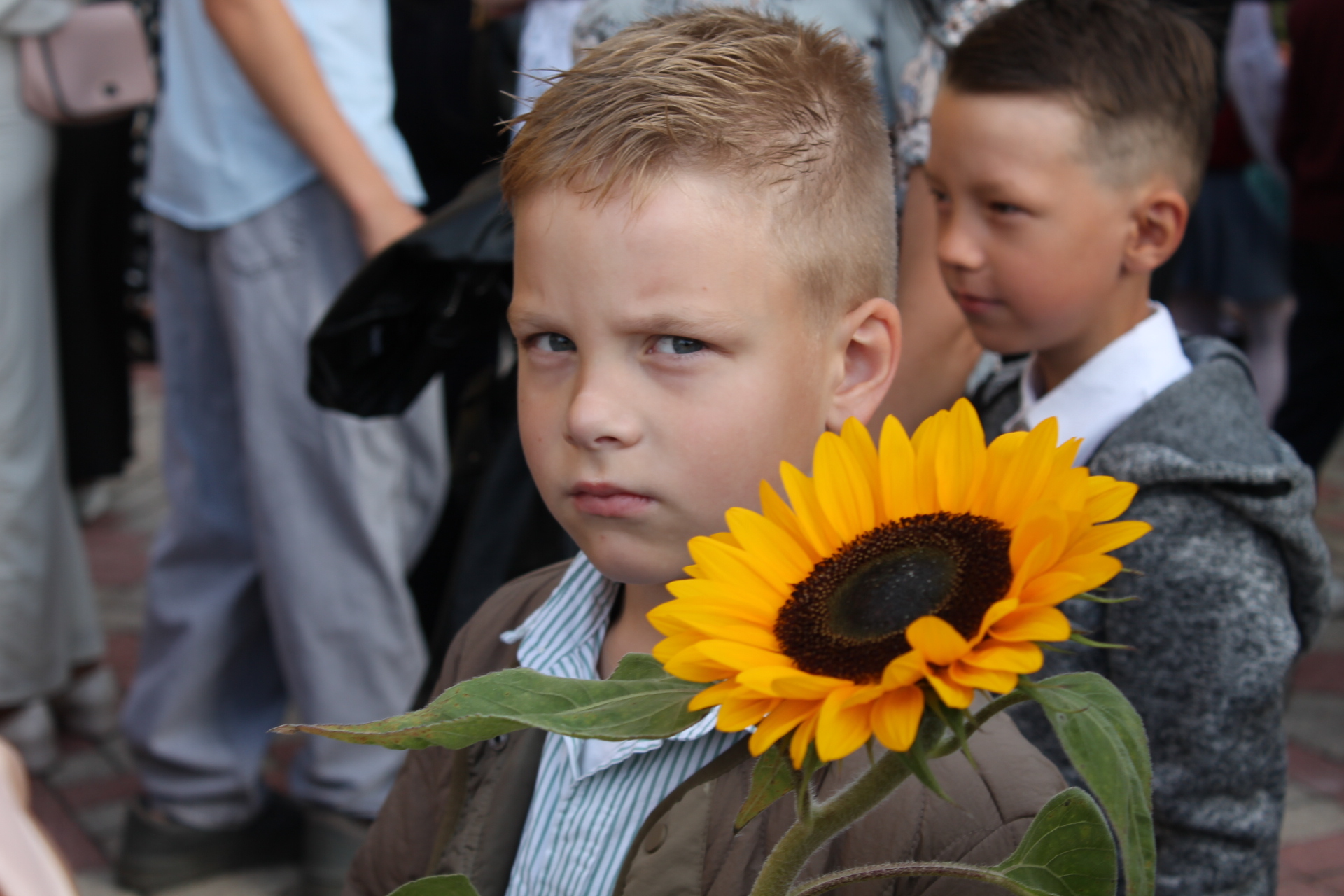G Zinību diena 2026